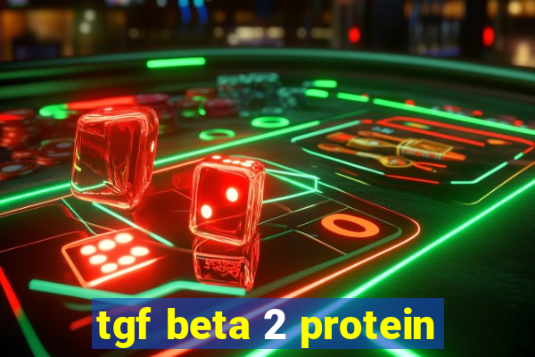 tgf beta 2 protein